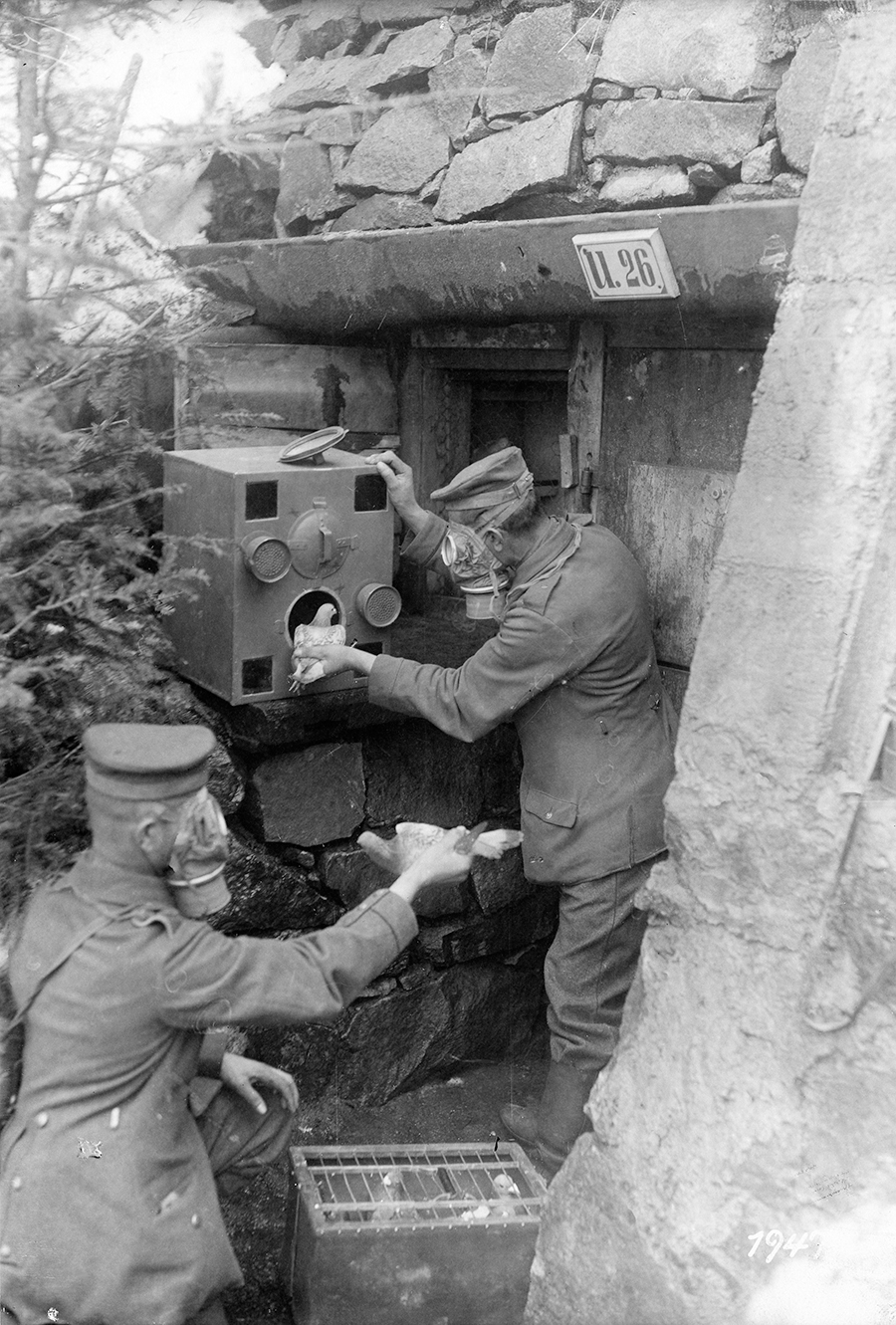 The mutual proliferation of chemical warfare imposed myriad new precautions on both sides. Here German troops transfer their carrier pigeons to a special box to protect the birds against a gas attack expected in March 1917. (National Archives)