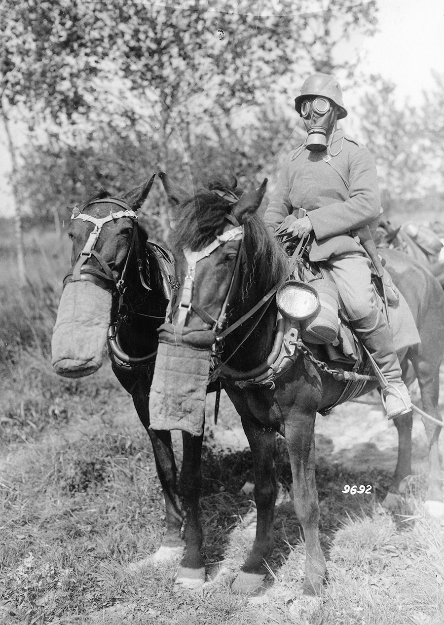Once effective protective masks were developed for soldiers, the principle had to be applied to other necessities, as exemplified by the special mask worn by this horse from a German ammunition column making its way through woods contaminated with poison gas in June 1918. (National Archives)