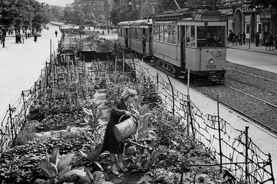 By July 1948, as the Soviets constrict the supply routes into Berlin during the Berlin Blockade, the inhabitants react by growing their own vegetables and tobacco in allotments on the Berliner Strasse. (FPG/Getty Images)