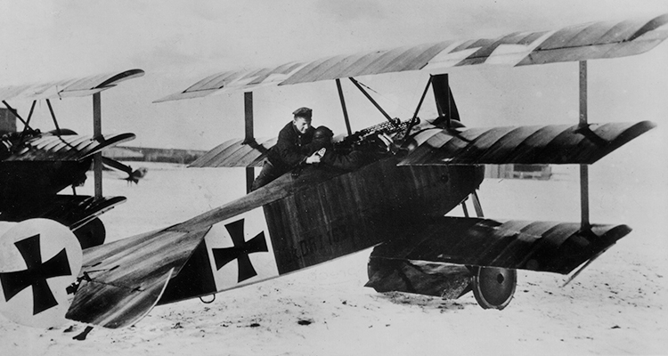 The Triplane Fighter Craze of 1917