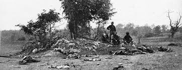 Civil War Casualties At Antietam