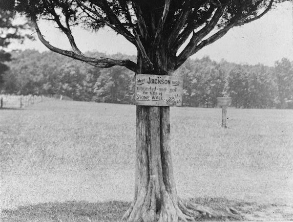 This 1910 picture shows the spot on Henry Hill where General Thomas Jackson was wounded on the battlefield and General Bernard Bee bestowed the nickname "Stonewall" on him. The plaque on the tree says "Here Jackson was wounded and got the title of Stone Wall, July 21, 1861."