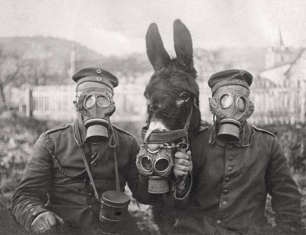 A pair of German soldiers (and their mule) wear GM-15s, Germany's first gas mask. These helped prevent inhalation of mustard gas and other potential biochemicals. 