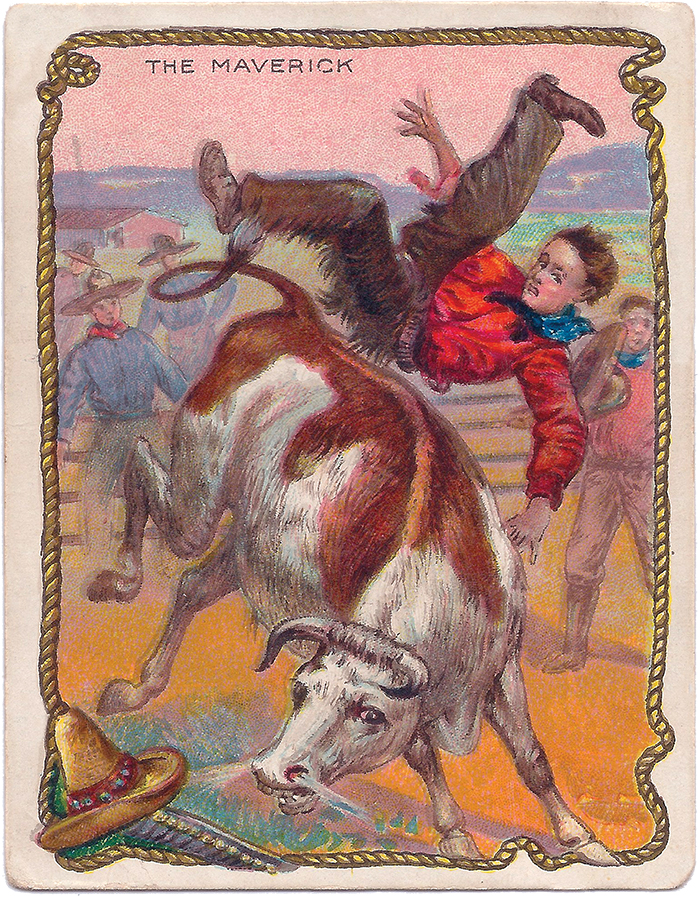 THE MAVERICK — If a steer has grown to be two years old without being branded, there is sure to be a hot struggle before he is finally roped and tied. After the iron has been put on him and he is let up, the nearest man, unless he dodges very quickly, will get a good toss. 