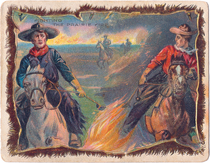FIGHTING THE PRAIRIE FIRE — Some go to work back-firing a broad strip around the corrals and ranch buildings. Others, riding in pairs, drag the hides or split carcasses of freshly killed steers over the flames. Nobody thinks about slacking work, eating or sleeping till the fire is checked. 
