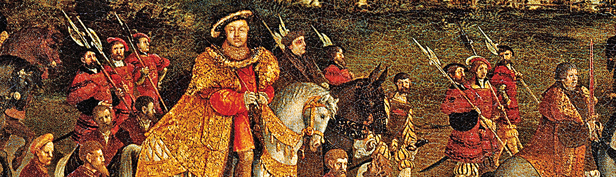 king henry viii contributions