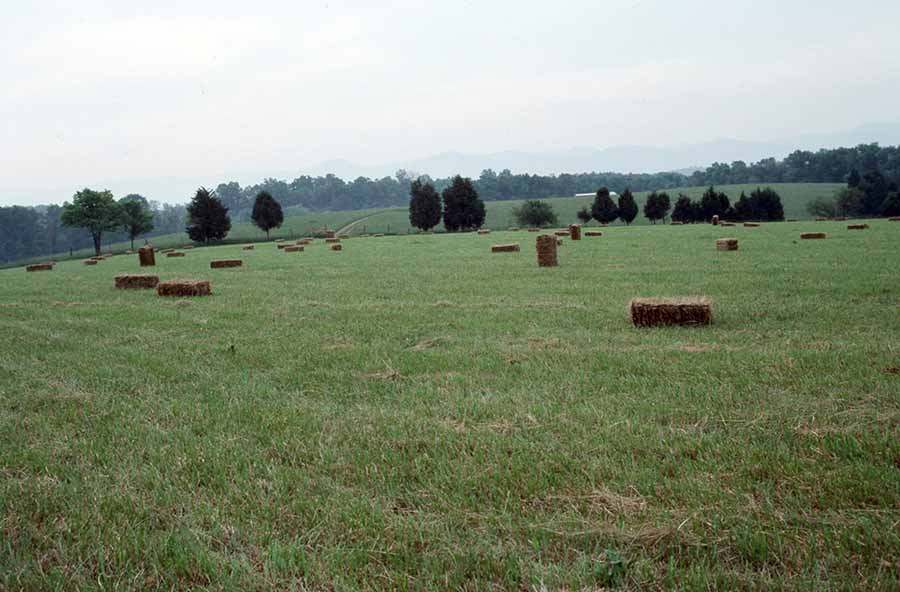 Land Beautiful: The Cross Keys area is located at the southern end of Massanutten Mountain in the Shenandoah Valley. Hay bales await pick up by the author, Svenson. (Photo by Peter Svenson)