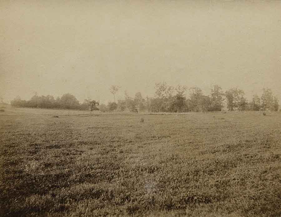 #44 | Sept. 19, 1891 | 5:45 p.m. East Woods, Antietam “Companion view to No. 45. Looking north and northeast, Confederate view. Camera in the 3-cornered cloverfield ten paces from the Smoketown road and about 100 yards west of where East Woods were in 1862. The western face of the woods has been cut off…The fence in the center of the photo is of recent planting. The fence dimly seen south of the new growth of the N. West grove is where it was in 1862 and exactly defines the northern limit of the great corn field.” (Courtesy of John Banks)