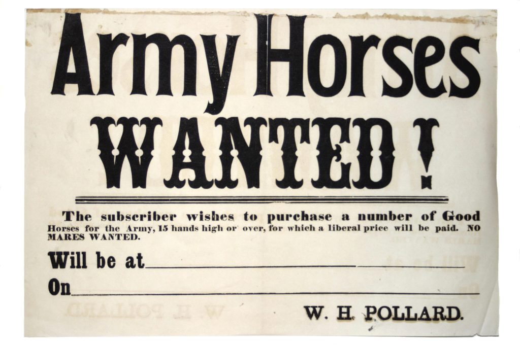 By 1864, the Union army was reduced to advertising for horses. offering exorbitant prices. (Library of Congress)