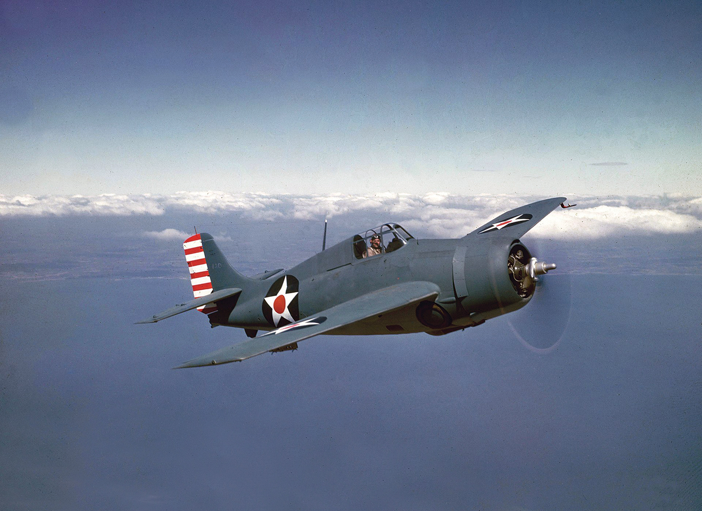 This F4F-3 Wildcat sports insignia on top of both wings, a pattern the U.S. Navy employed briefly in 1942-43. (Naval History and Heritage Command)