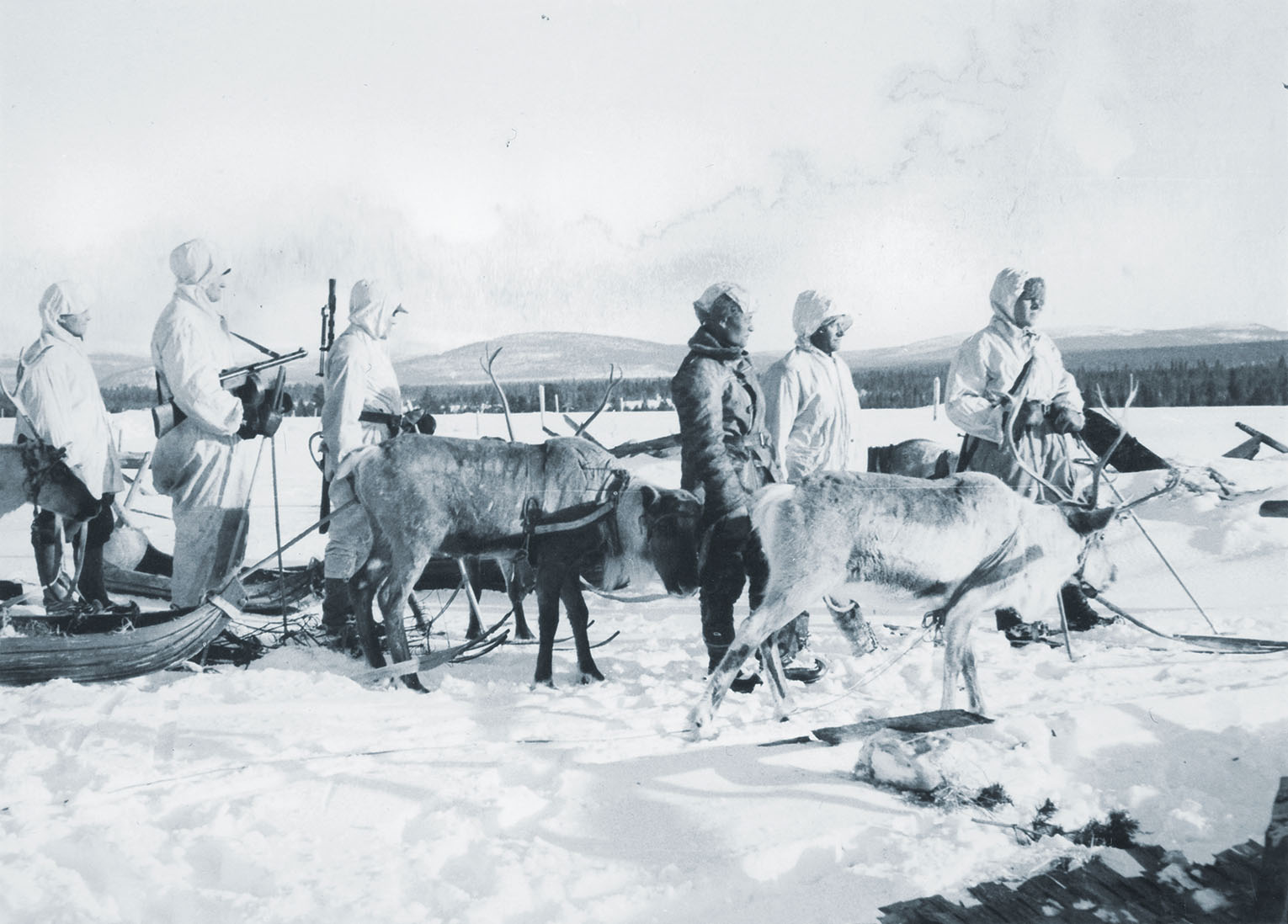 While aircraft defended Finland’s airspace, camouflaged soldiers—here using reindeer to pull supply sleds during the Winter War—engaged Russian ground forces. / Finnish Heritage Agency, CC BY-SA 4.0