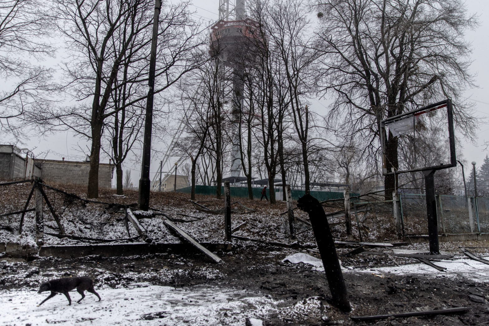 Babyn Yar: Outrage After Russian Missile Appears to Strike Holocaust Memorial in Ukraine