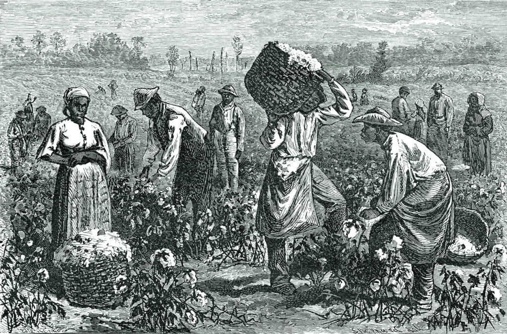 Enslaved people picking cotton