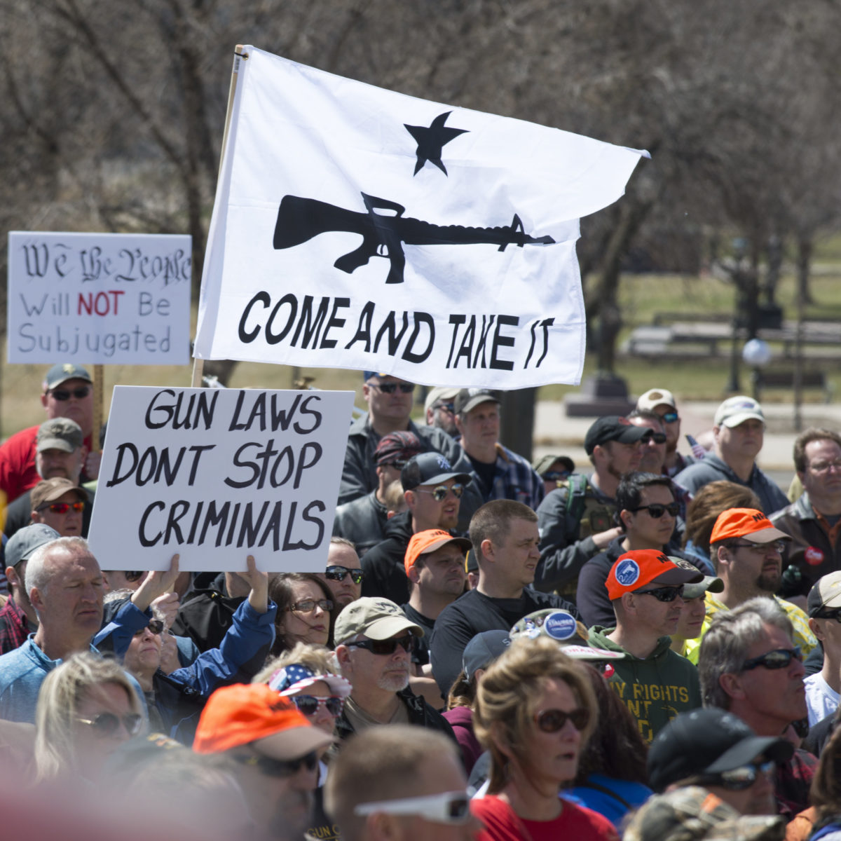gun control and the second amendment essay