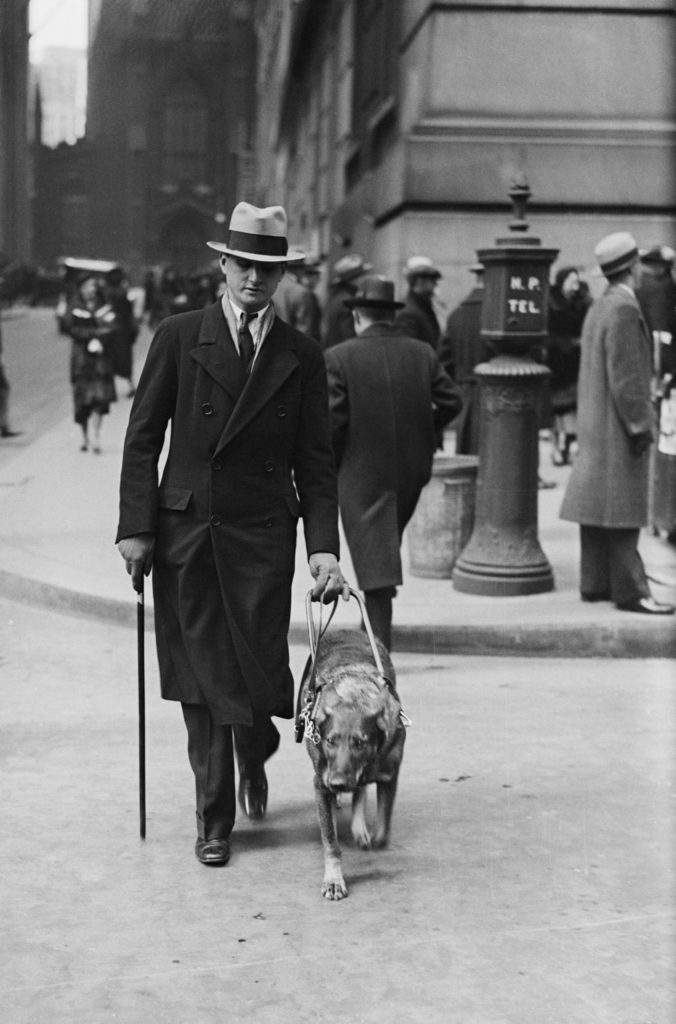 Who Was the First Guide Dog (and Its Human) in the US?