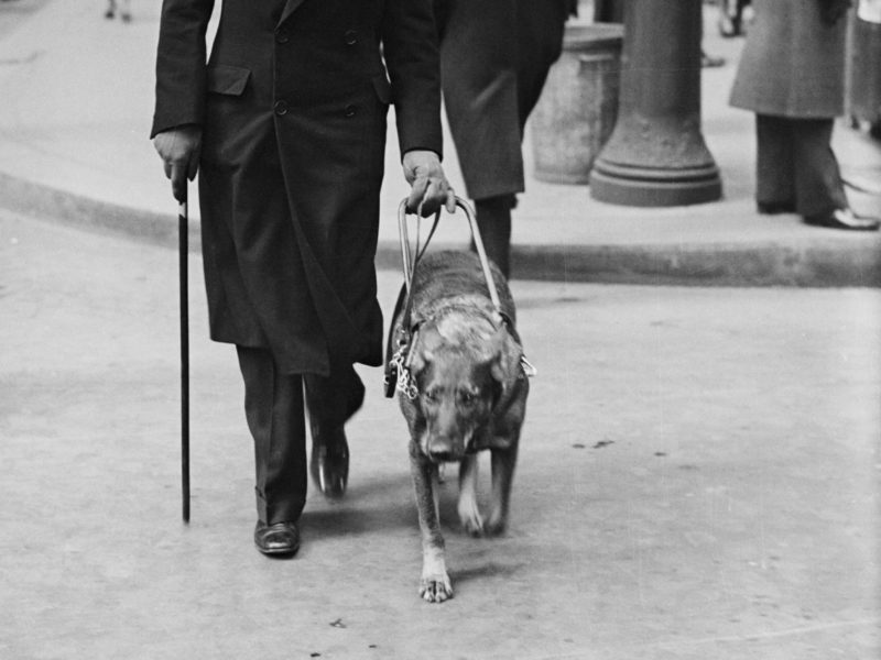 Morris Frank and Buddy the guide dog