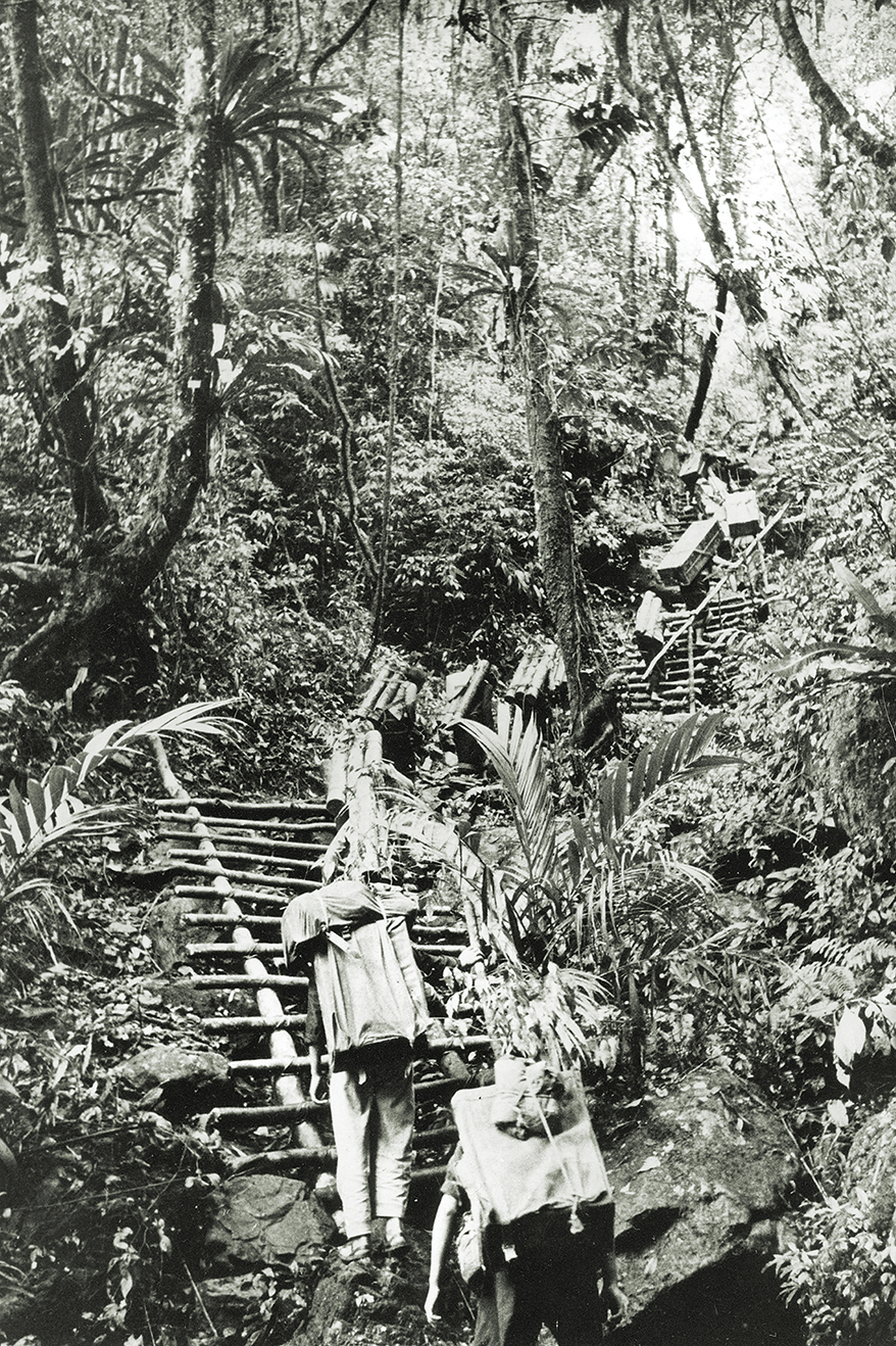(Eingeschränkte Rechte für bestimmte redaktionelle Kunden in Deutschland. Limited rights for specific editorial clients in Germany.) Vietnam War Supplies are carried through jungle routes from North Vietnam (and Cambodia) to the South (Ho-Chi-Minh-Trail). (Photo by ADN-Bildarchiv/ullstein bild via Getty Images)