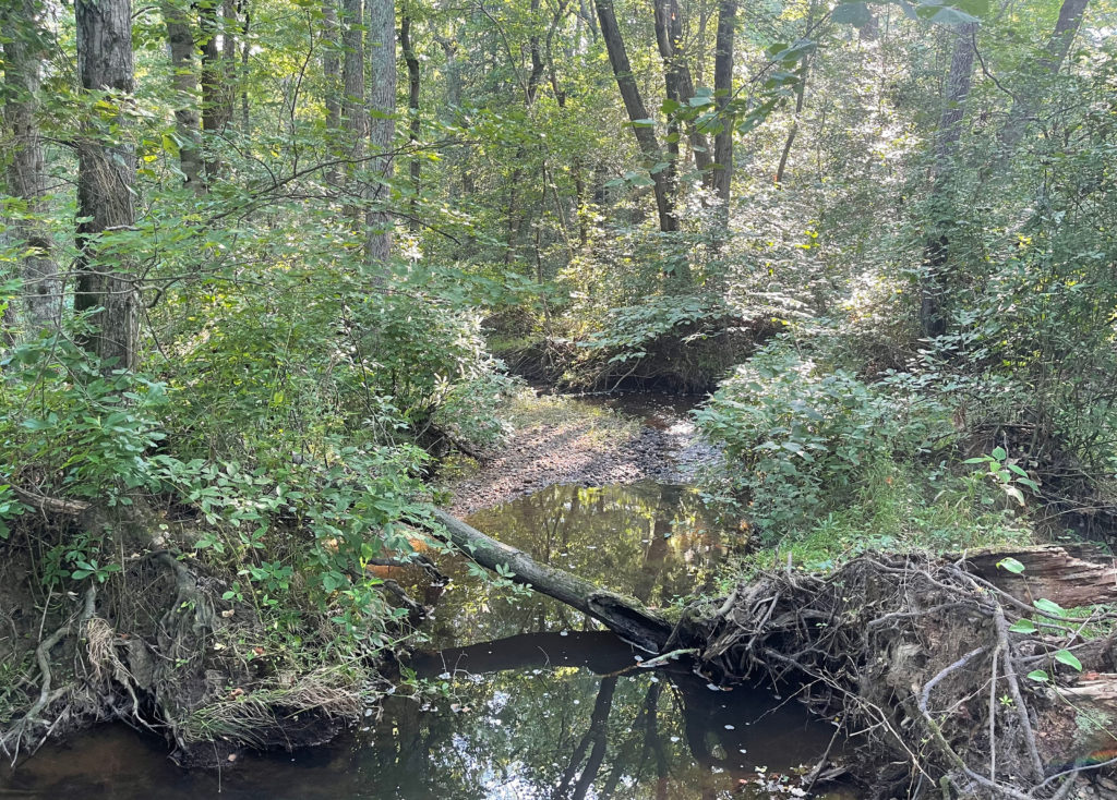 Four Mile Creek, Virginia