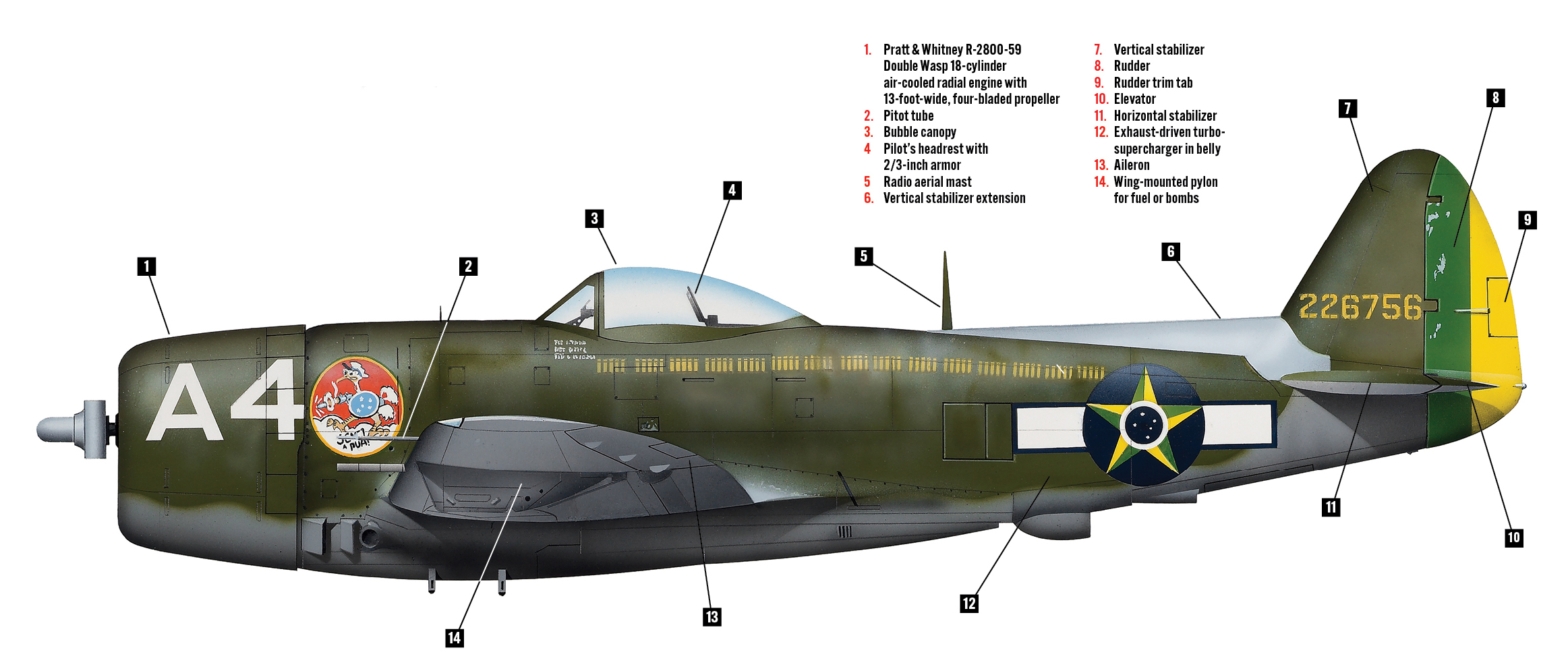 P-47D Thunderbolt: The Plane Brazilian Pilots Flew in WWII