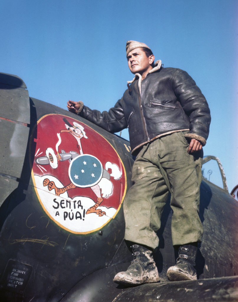 Robson Saldanha with his P-47D aircraft