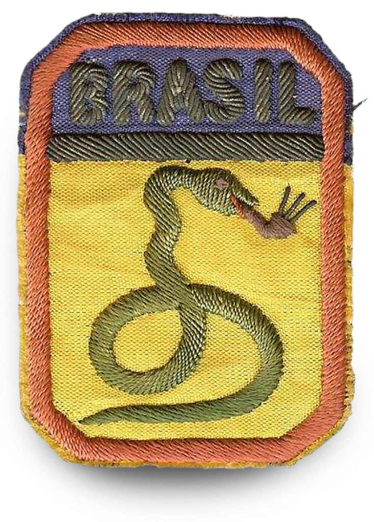 Brazil, Victory Day 1945, And the snake smoked! The Brazilian version of  when pigs fly. It was said, before Brazil de…