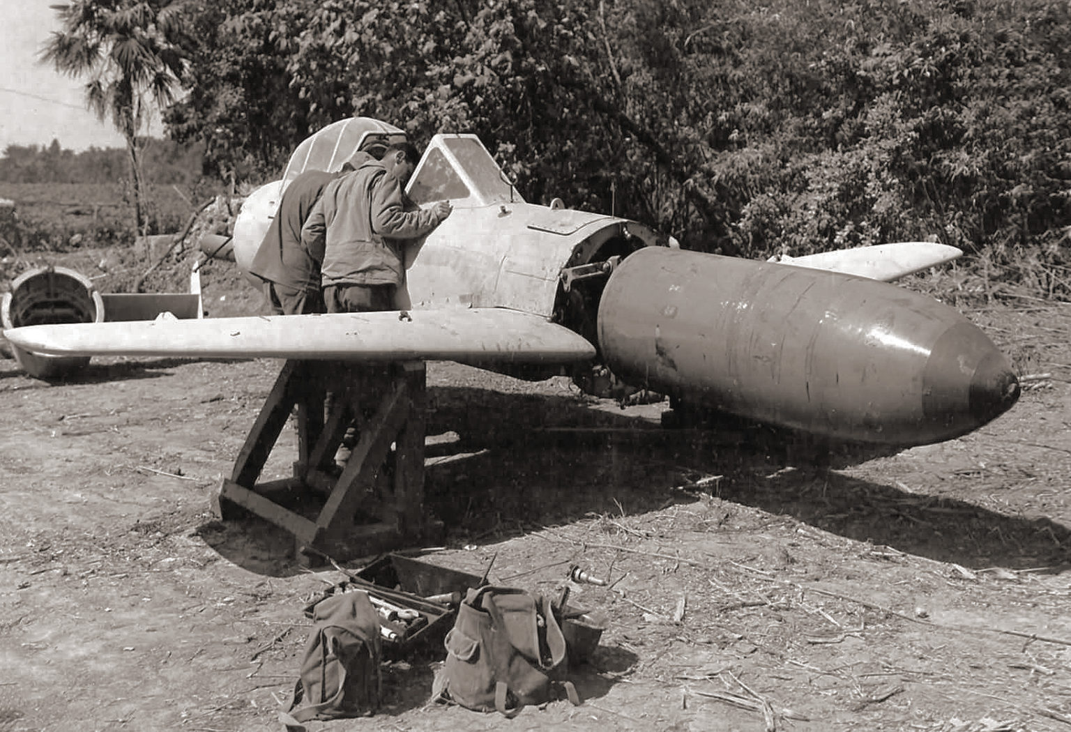 This Piloted Bomb Was Intended for a One-way Flight