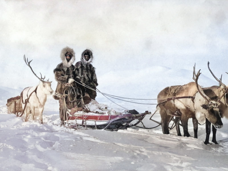 Lomen brothers behind a reindeer sled