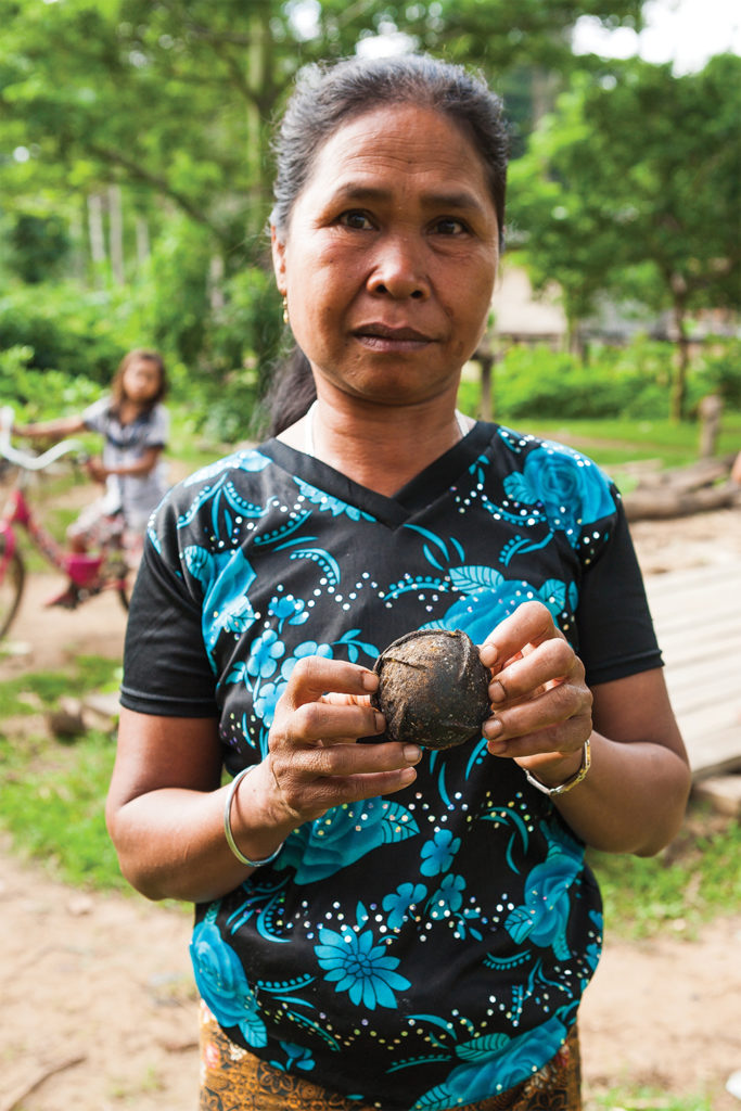 Photo of a lady showing us a cluster bomb (opened and defused) that had been found in the village. The fins on the bomblet (Laotians call them bombies) make it spin in the air, which arms the fuse. They can be fused to explode on impact, 9m above the ground, or randomly. Roughly a third of them did not explode at all, and it's these that plague Laos to this day; approximately 25% of villages in Laos are still contaminated with unexploded ordnance.