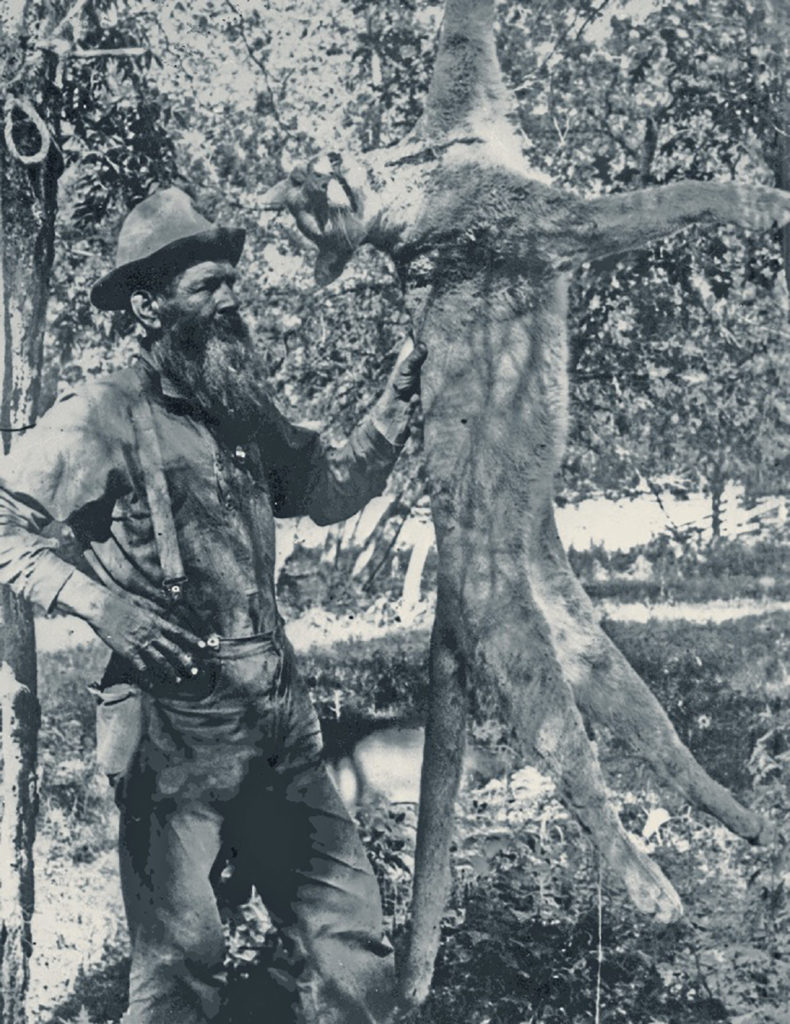 Ben Lilly with dead mountain lion