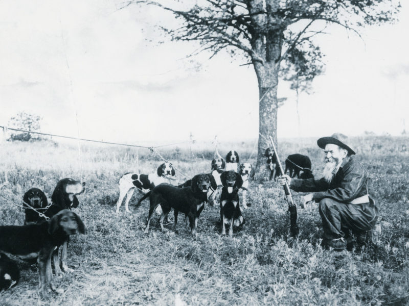 Ben Lilly with group of hounds