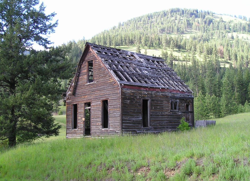 Abandoned wooden cabin