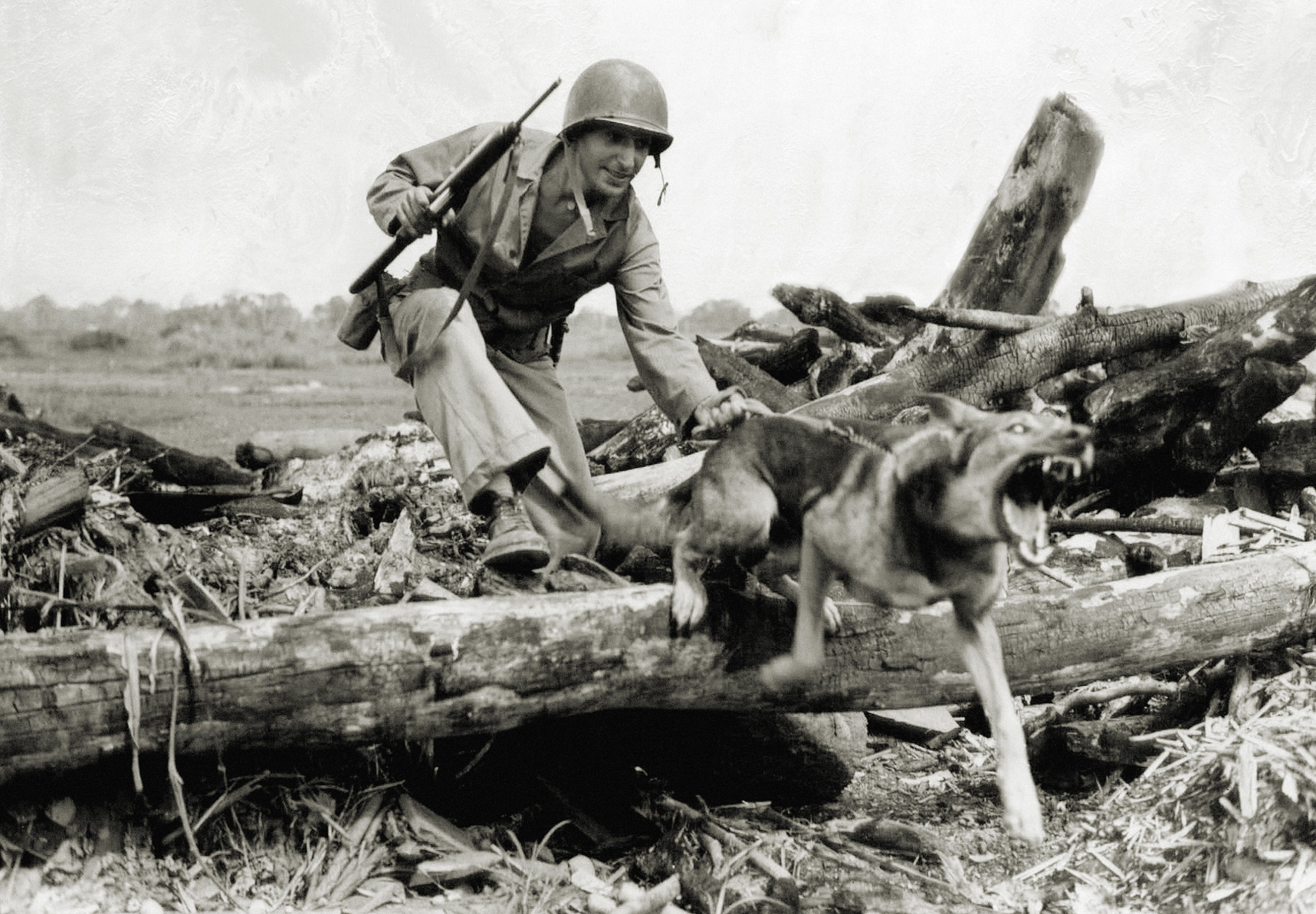War sales dogs ww2