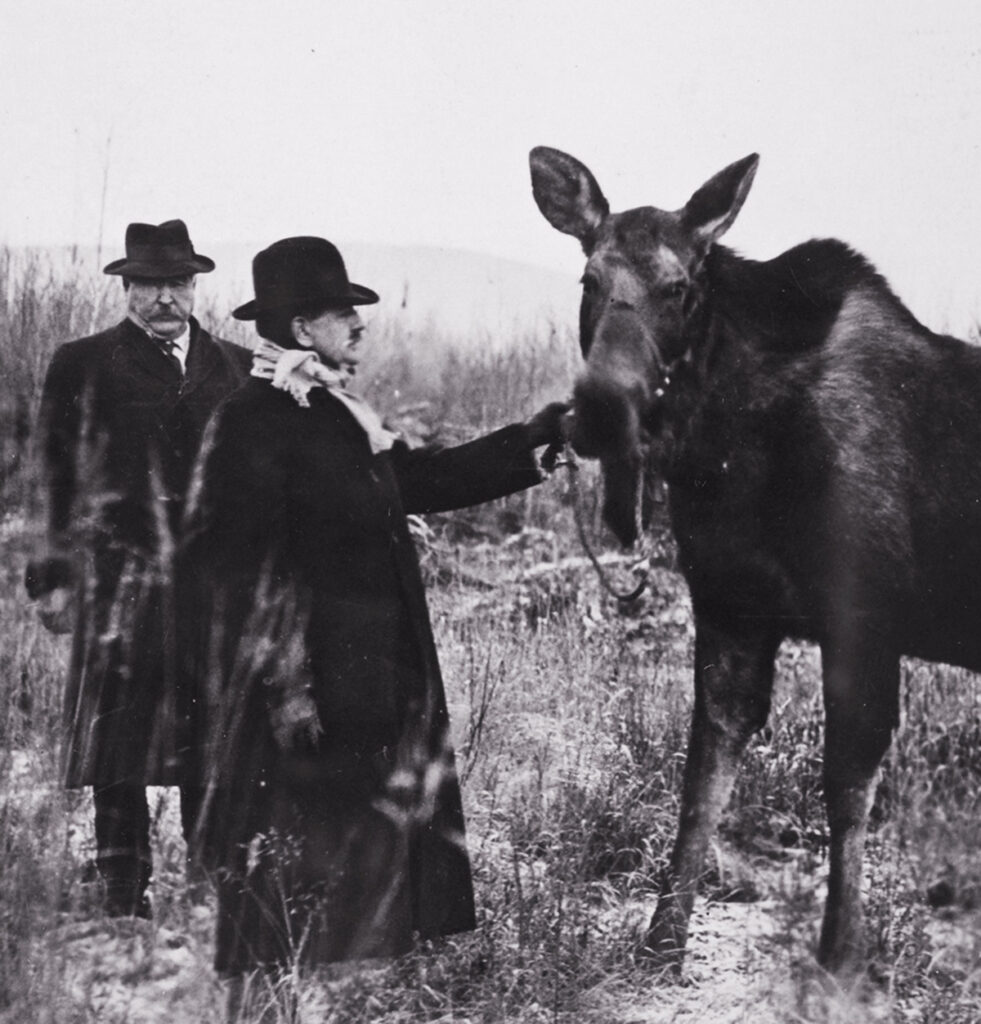 Bill McPhee and another man with moose