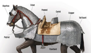 horse-armor-diagram