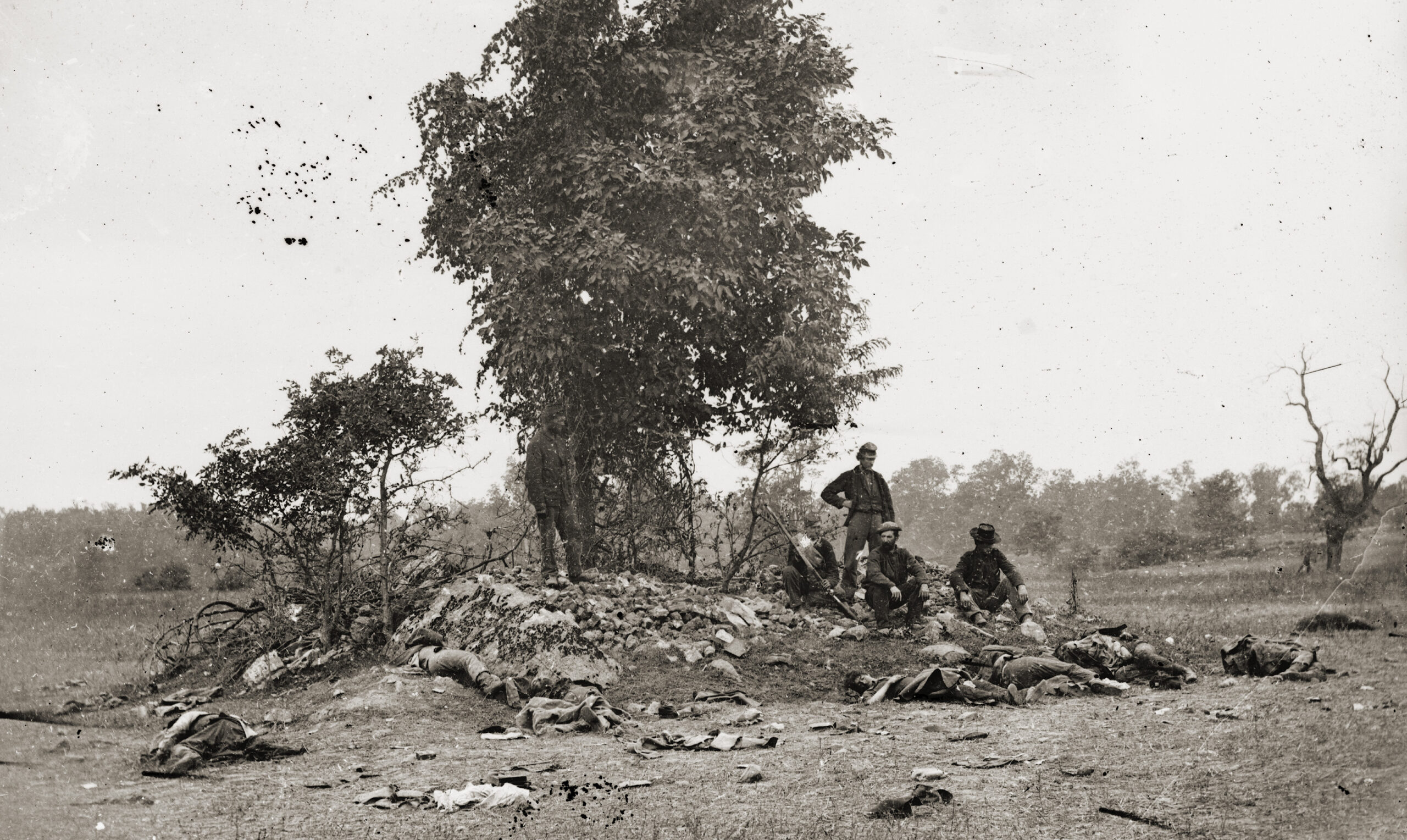 Can a Photograph Tell the Full Story of War's Horror? This Antietam Ambrotype Just Might - Vimarsana News