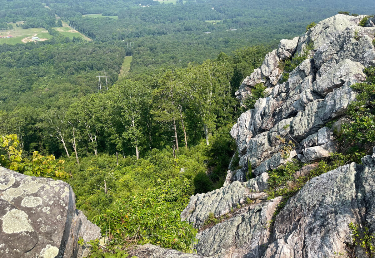 Buzzard’s Roost at Rocky Face Ridge