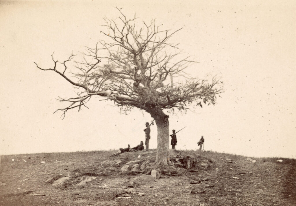 Gravestone under tree on Antietam battlefield