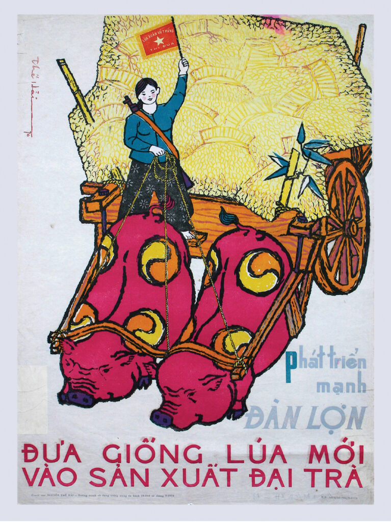 This same North Vietnamese flag is proudly held up by a Northern woman encouraging agricultural development: “Raise pigs to be strong, to guide the growth of new paddies and the planting of tea.”