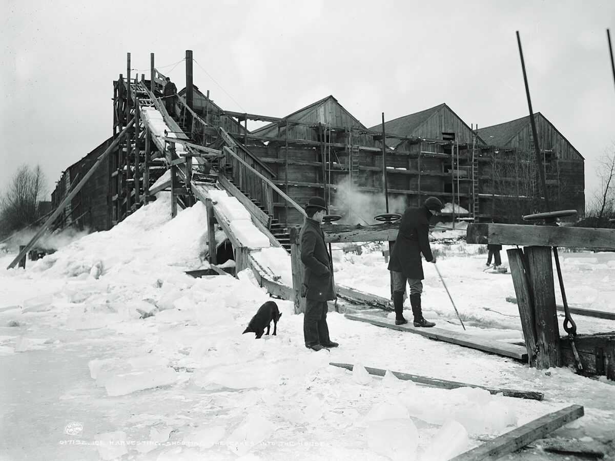 Photo of ice harvesting, shooting the cakes into the house.