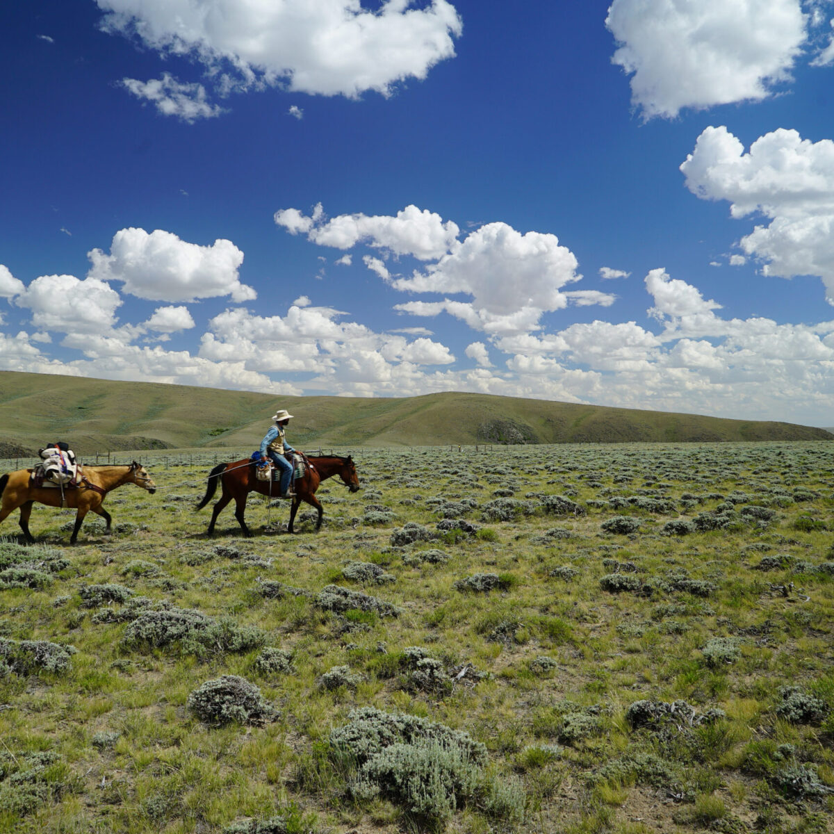 Pony Express National Historic Trail in Wyoming