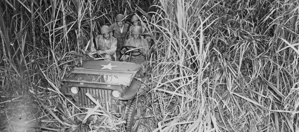 Soldiers plow through a sugar cane field in Puerto Rico in 1943. (Photo from National Archives)