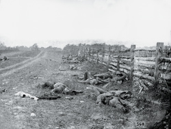Casualties for the battle topped 22,000, with more than 3,600 dead, including these Rebels along the Hagerstown Turnpike (Photo: Library of Congress).