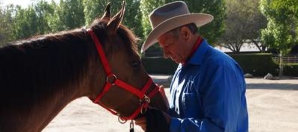 'Horse whisperer' Monty Roberts applies what he's learned with horses to help vets with PTSD learn new coping techiques in 'Horse Sense and Soldiers.' Courtesy Military Channel.