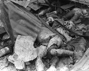 Remains of a Vietnamese family killed by North Vietnamese Army soldiers in Hue city during the Tet Offensive. (Defense Dept. photo)