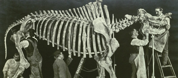 Two men's rivalry in the 1800s expanded scientific knowledge about prehistoric life. Courtesy American Museum of Natural History.