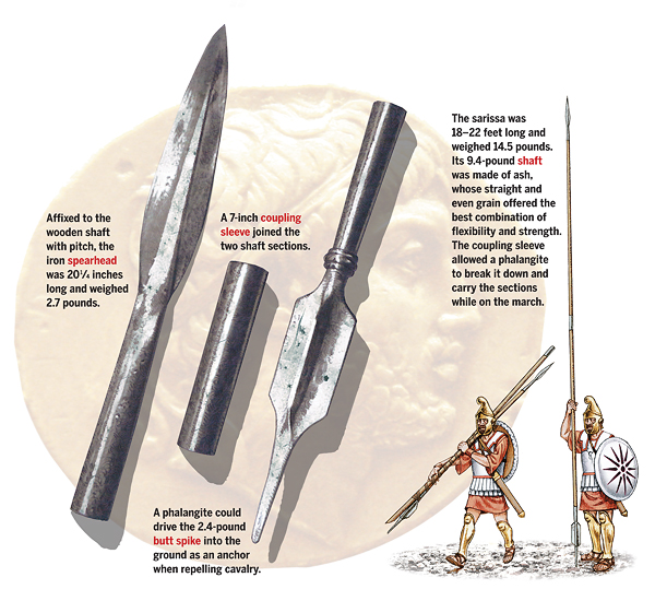 The sarissa was long enough (18-22 feet) to keep an enemy at bay but sectioned for easy travel on the march. (Illustration by Gregory Proch)